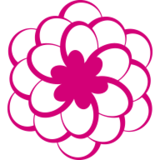 Seelen Flow Logo